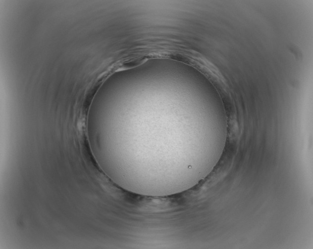 X0000115060329200911091452