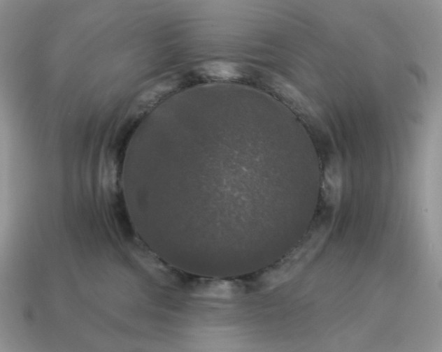 X0000115060330200911091452