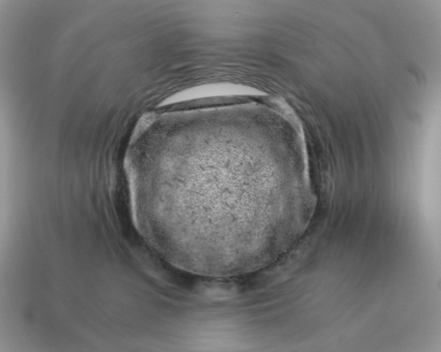 X0000115060331200911091452