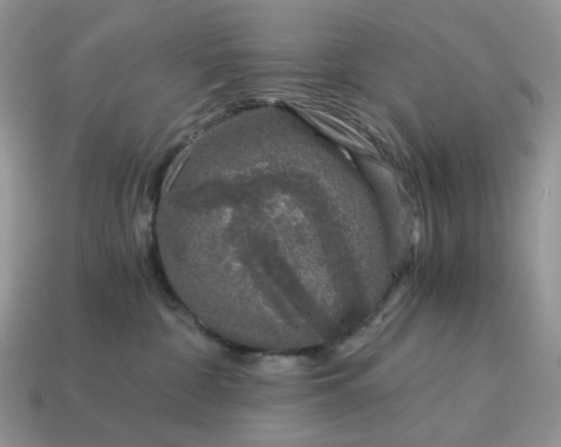 X0000115060332200911091452