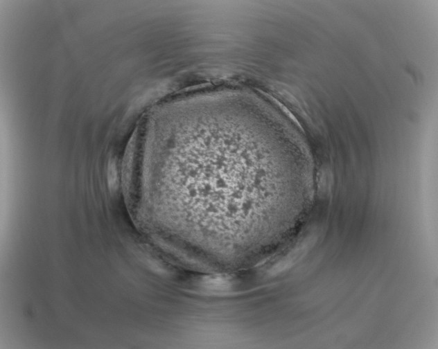 X0000115060335200911091451