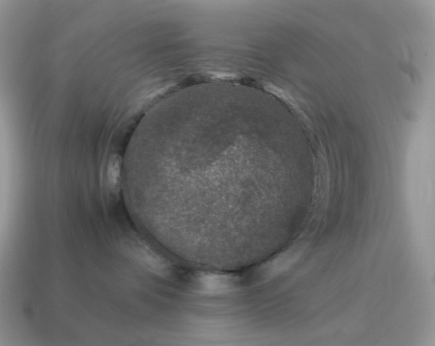 X0000115060336200911091451