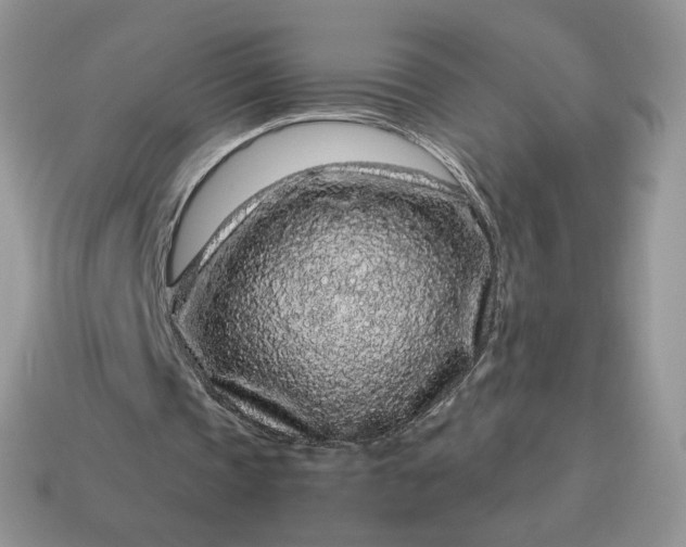 X0000115060337200911091451