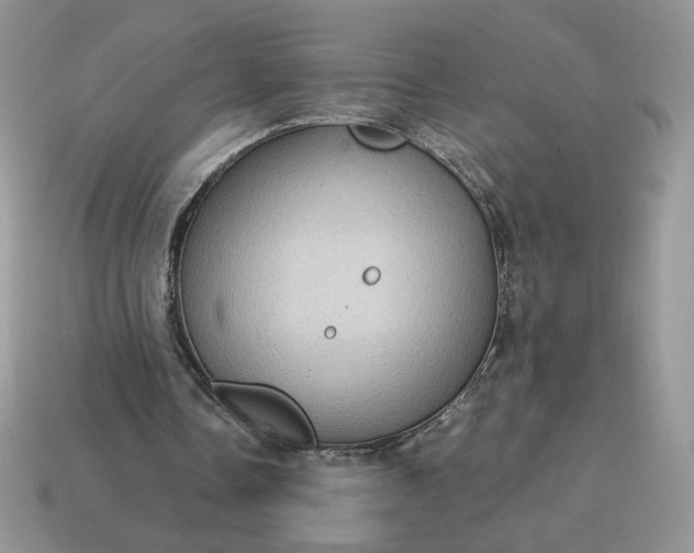 X0000115060338200911091451