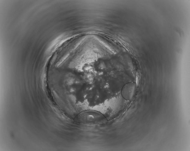 X0000115060339200911091451