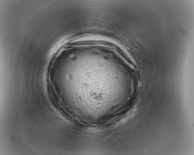 X0000115060341200911091451