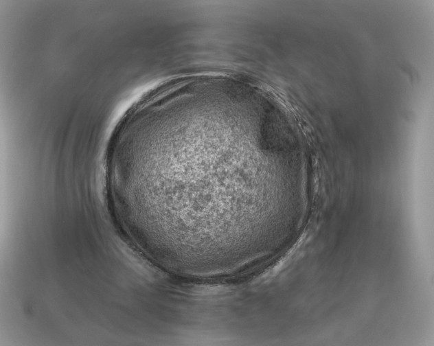 X0000115060342200911091451