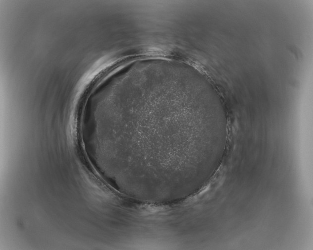 X0000115060343200911091451