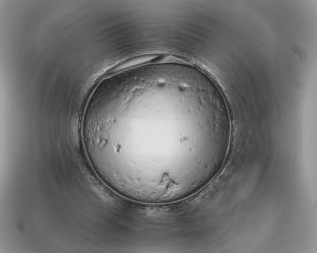 X0000115060345200911091451