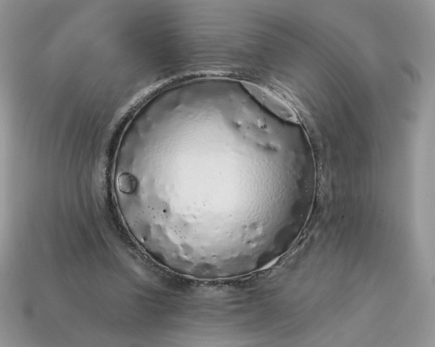 X0000115060346200911091451