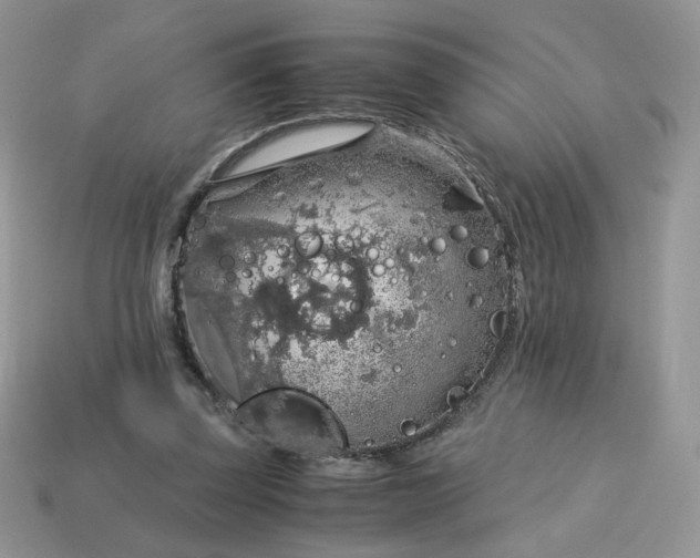 X0000115060347200911091451