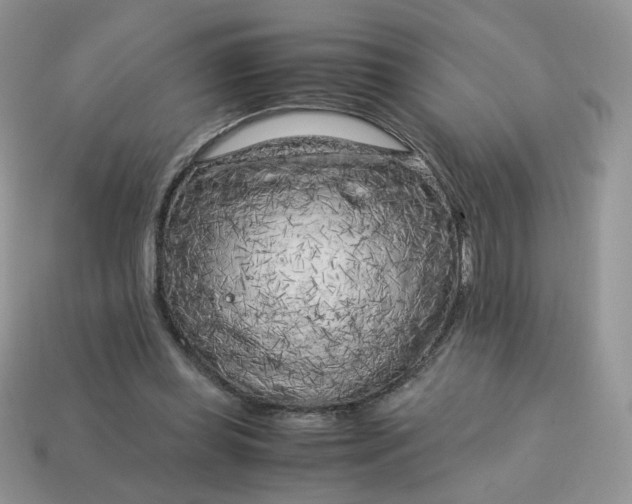 X0000115060349200911091451