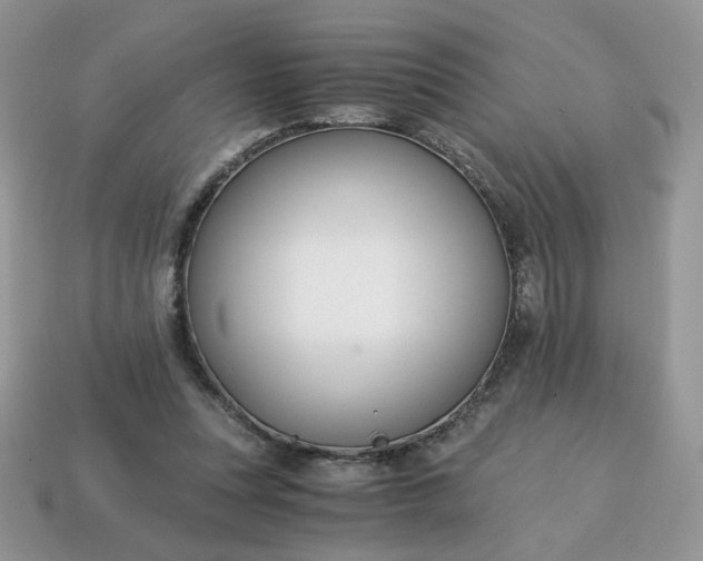 X0000115060351200911091451