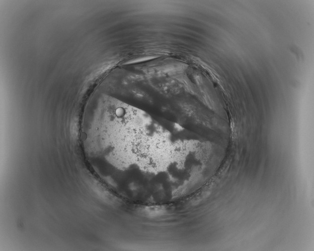 X0000115060353200911091451