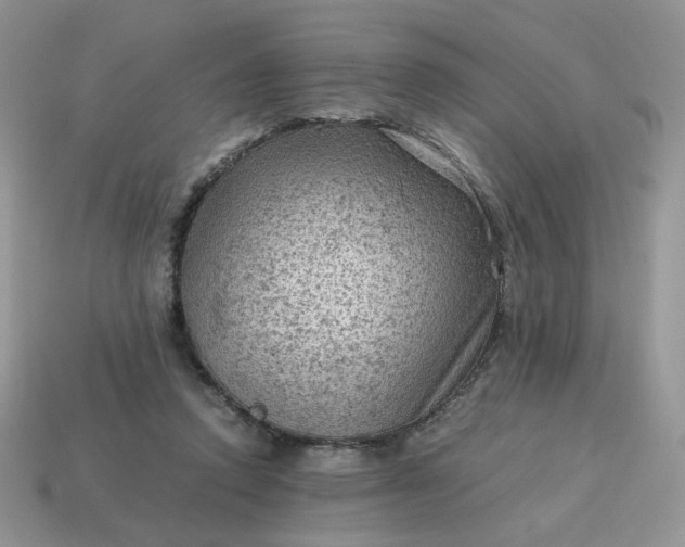 X0000115060354200911091451