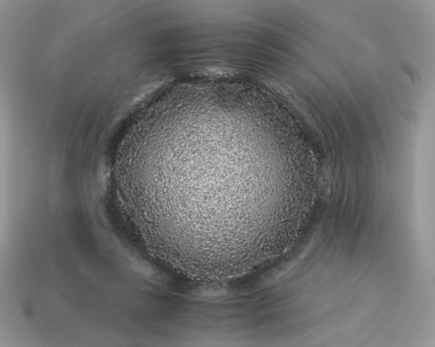 X0000115060355200911091451