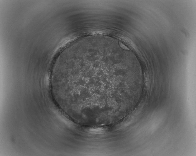 X0000115060357200911091451