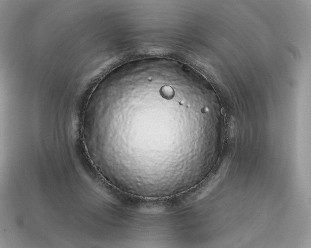 X0000115060358200911091451