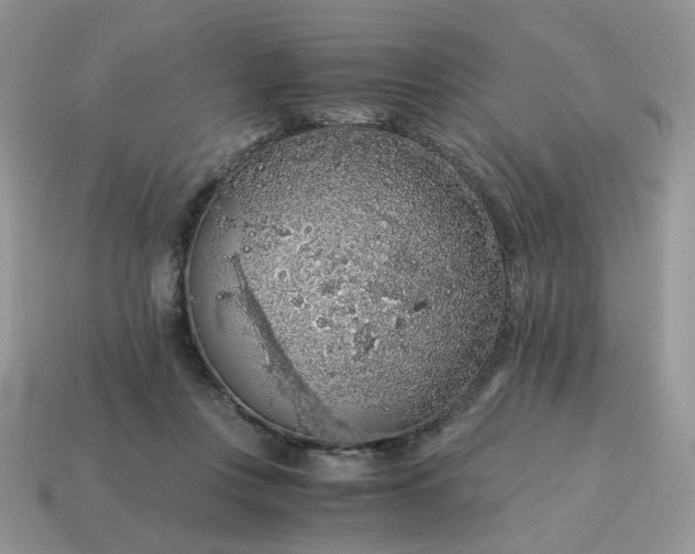 X0000115060359200911091451