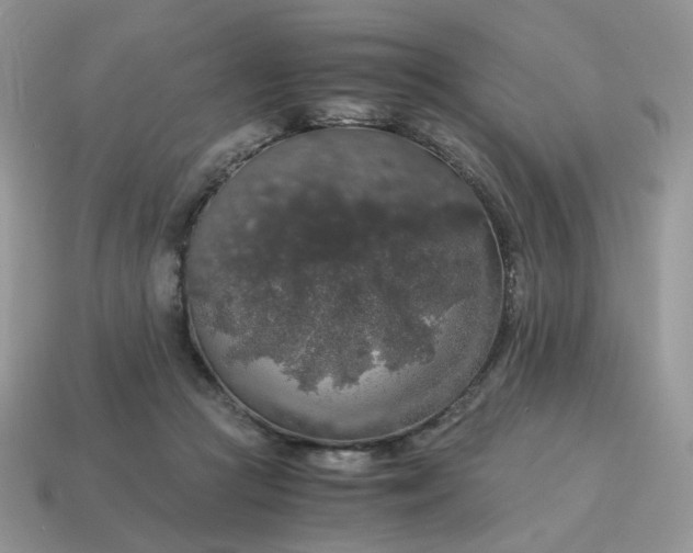 X0000115060361200911091451