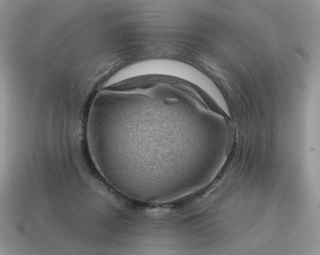 X0000115060362200911091451