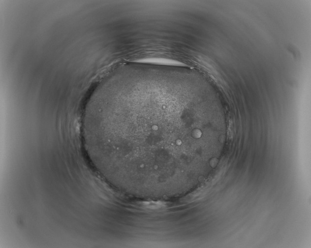 X0000115060363200911091451