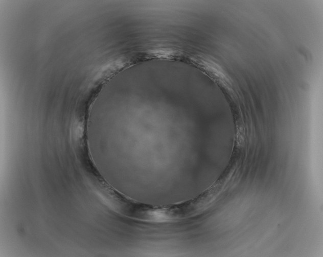 X0000115060365200911091451