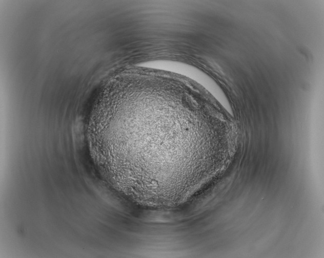 X0000115060366200911091451