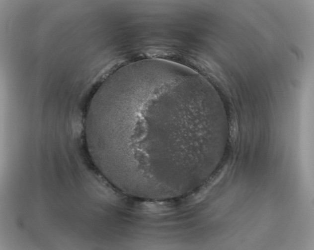 X0000115060367200911091451