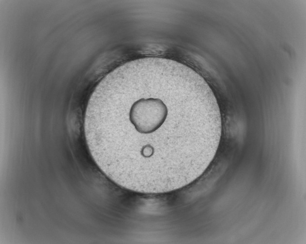 X0000115060370200911091451