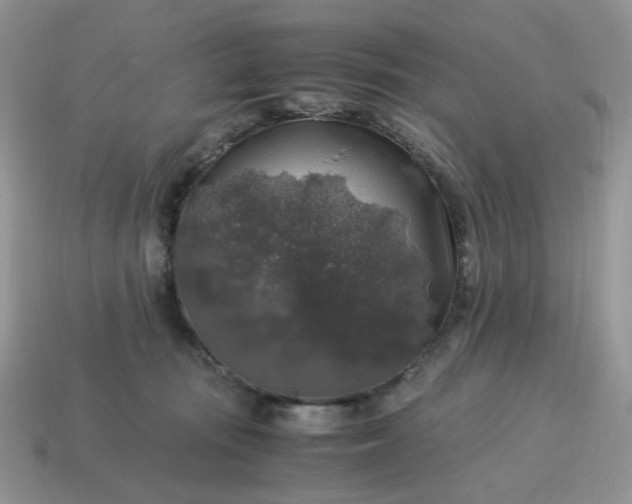 X0000115060371200911091451