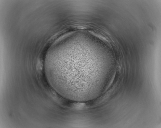 X0000115060374200911091451