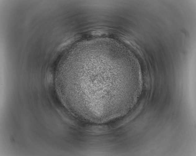 X0000115060375200911091451