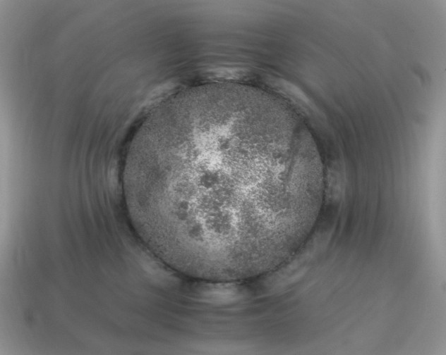 X0000115060377200911091451