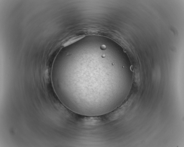 X0000115060378200911091451