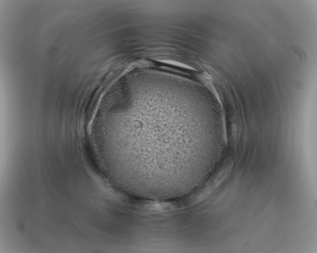 X0000115060379200911091451