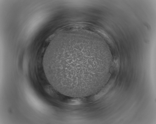 X0000115060381200911091451