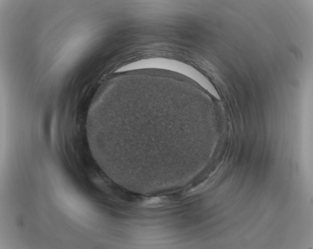 X0000115060382200911091451