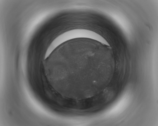 X0000115060383200911091451