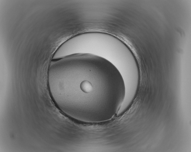 X0000115060385200911091451