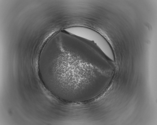 X0000115060386200911091451