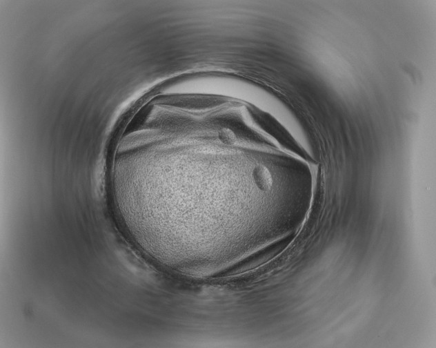 X0000115060388200911091451