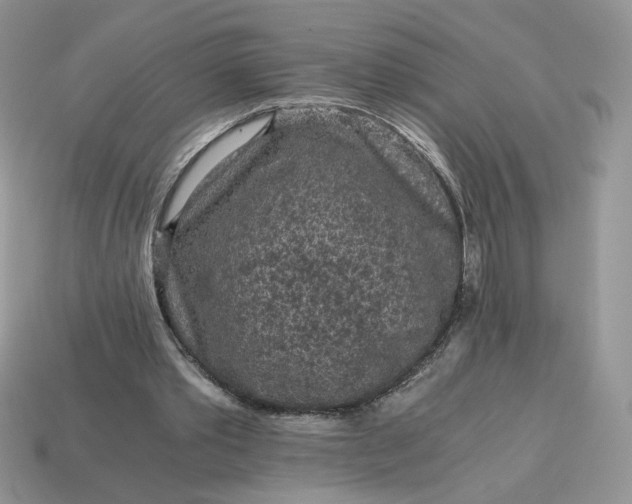 X0000115060389200911091451