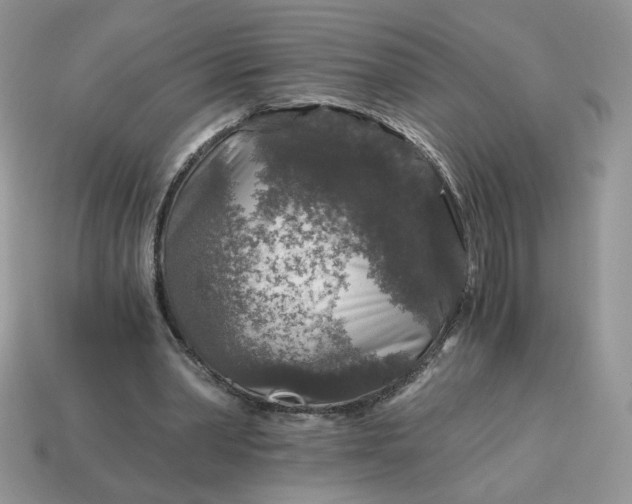 X0000115060390200911091451