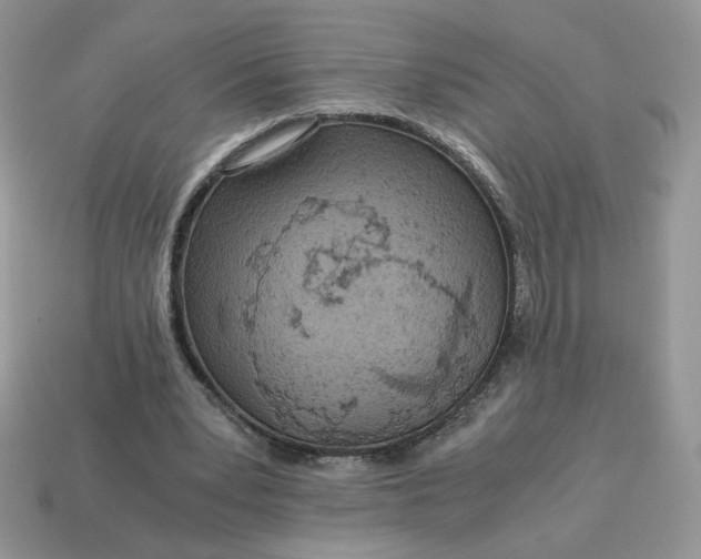 X0000115060391200911091451