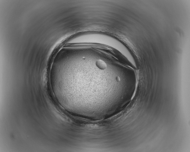 X0000115060392200911091451