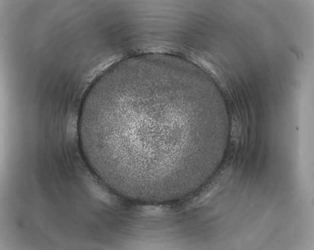 X0000115060394200911091451