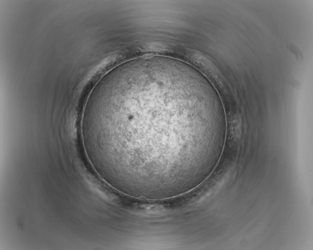 X0000115060395200911091451