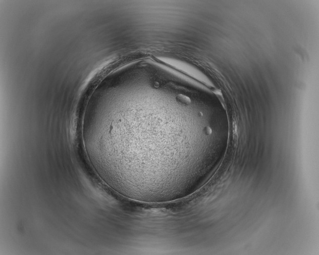 X0000115060396200911091451