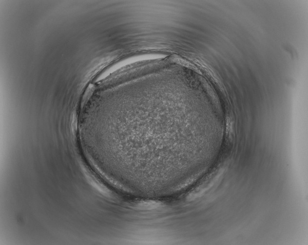 X0000115060397200911091451